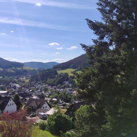 Traumblick Fewo Mit Pool バイアースブロン エクステリア 写真