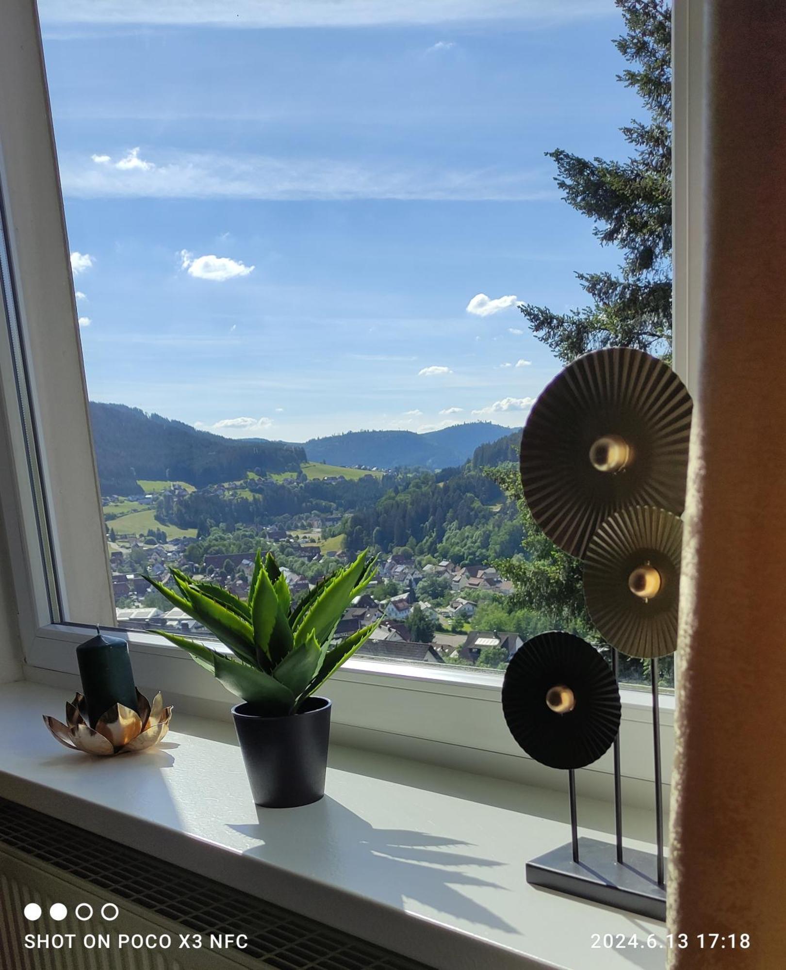 Traumblick Fewo Mit Pool バイアースブロン エクステリア 写真